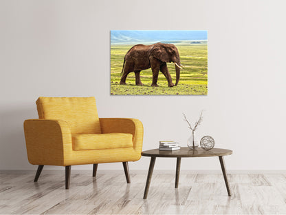 Leinwandbild Prächtiger Elefant