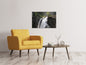 Leinwandbild Der Gollinger Wasserfall