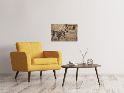 Leinwandbild 2 Leoparden