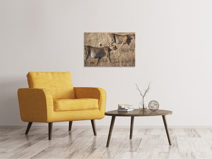 Leinwandbild 2 Leoparden