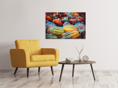 Leinwandbild Kürbis Arten