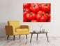 Leinwandbild Frische Tomaten