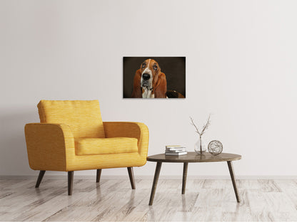 Leinwandbild Typisch Basset
