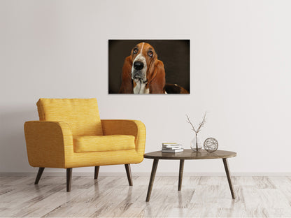 Leinwandbild Typisch Basset
