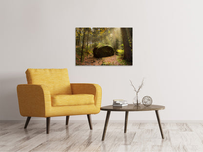 Leinwandbild Der Fels im Wald