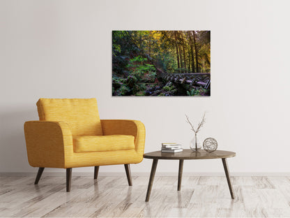 Leinwandbild Die Wald Brücke