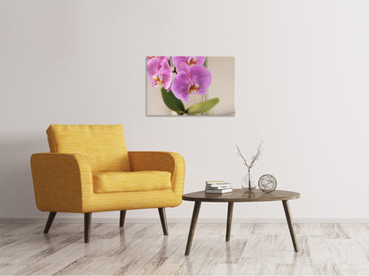Leinwandbild Orchideen mit lila Blüten in XL