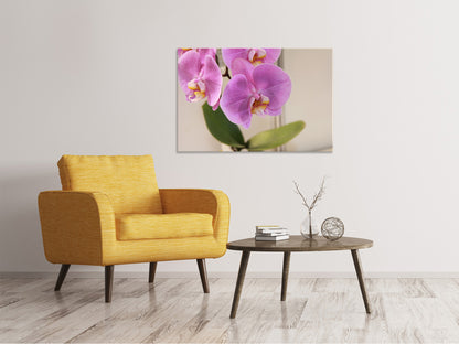 Leinwandbild Orchideen mit lila Blüten in XL