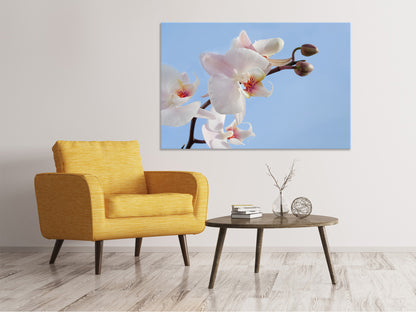 Leinwandbild Orchidee im Himmel