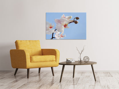 Leinwandbild Orchidee im Himmel