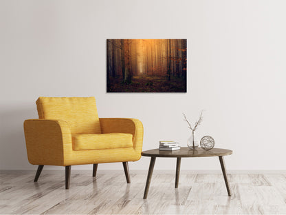 Leinwandbild Geheimnisvoller Wald