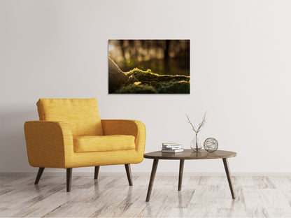 Leinwandbild Das Moos