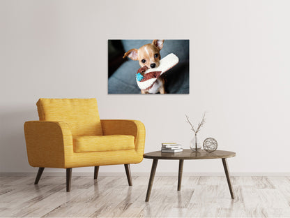 Leinwandbild Gehorsamer Chihuahua