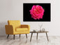 Leinwandbild Rose in rot XXL