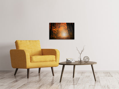 Leinwandbild Herbstlicht im Wald