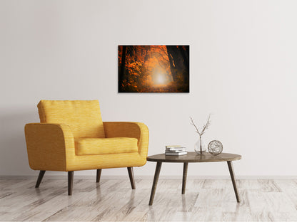Leinwandbild Herbstlicht im Wald