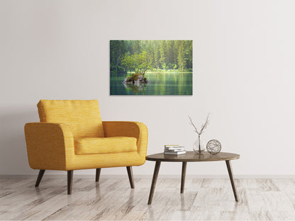 Leinwandbild Der Teich im Wald