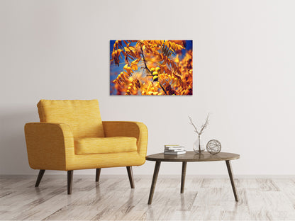 Leinwandbild Der Nussbaum XL