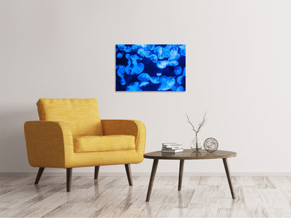 Leinwandbild Viele Quallen im blauen Wasser