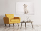 Leinwandbild Süsse Golden Retriever Welpe
