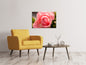 Leinwandbild Die Rose in rosa