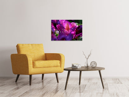Leinwandbild Der Rhododendron