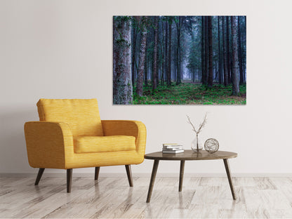 Leinwandbild Tannen Wald