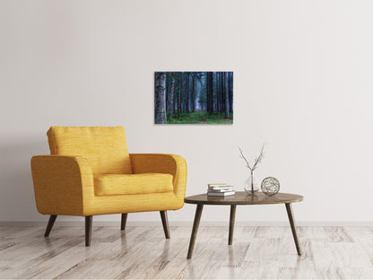 Leinwandbild Tannen Wald