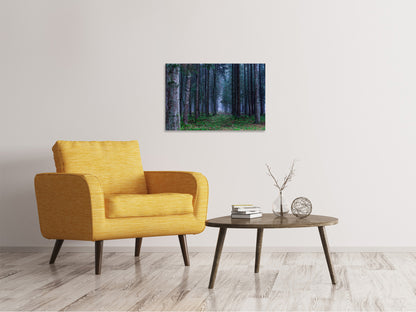 Leinwandbild Tannen Wald