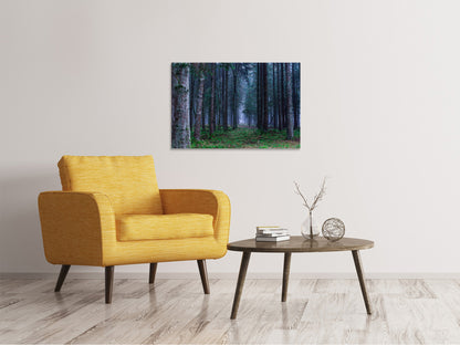 Leinwandbild Tannen Wald