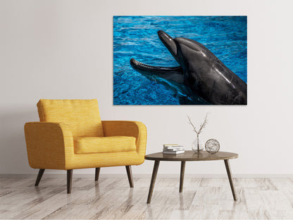 Leinwandbild Freundlicher Delphin
