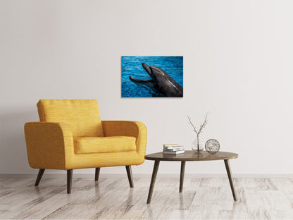 Leinwandbild Freundlicher Delphin
