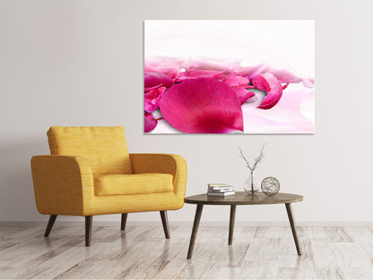 Leinwandbild Rosenblätter in pink