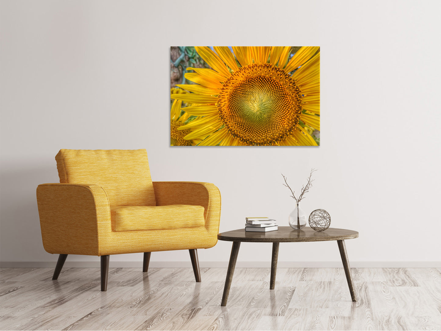 Leinwandbild Blütenstand einer Sonnenblume