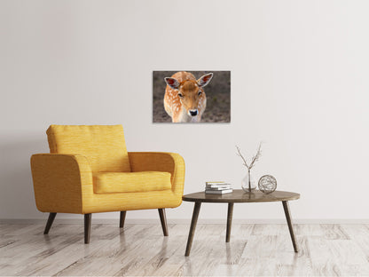 Leinwandbild Der Damhirsch