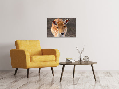 Leinwandbild Der Damhirsch