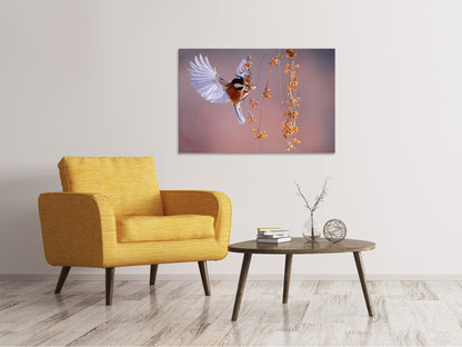 Leinwandbild Vogel in Aktion