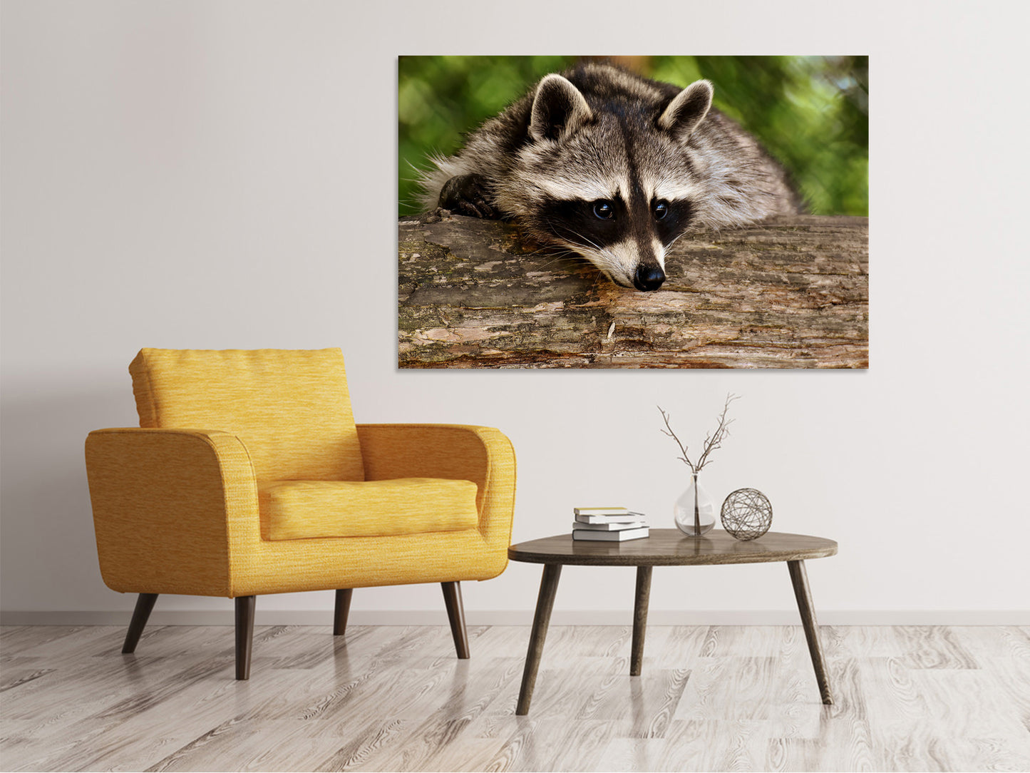 Leinwandbild Der süsse Waschbär