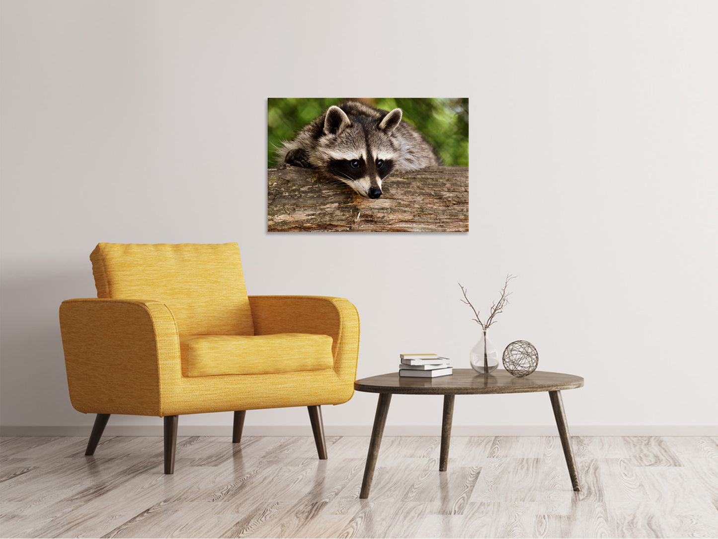 Leinwandbild Der süsse Waschbär