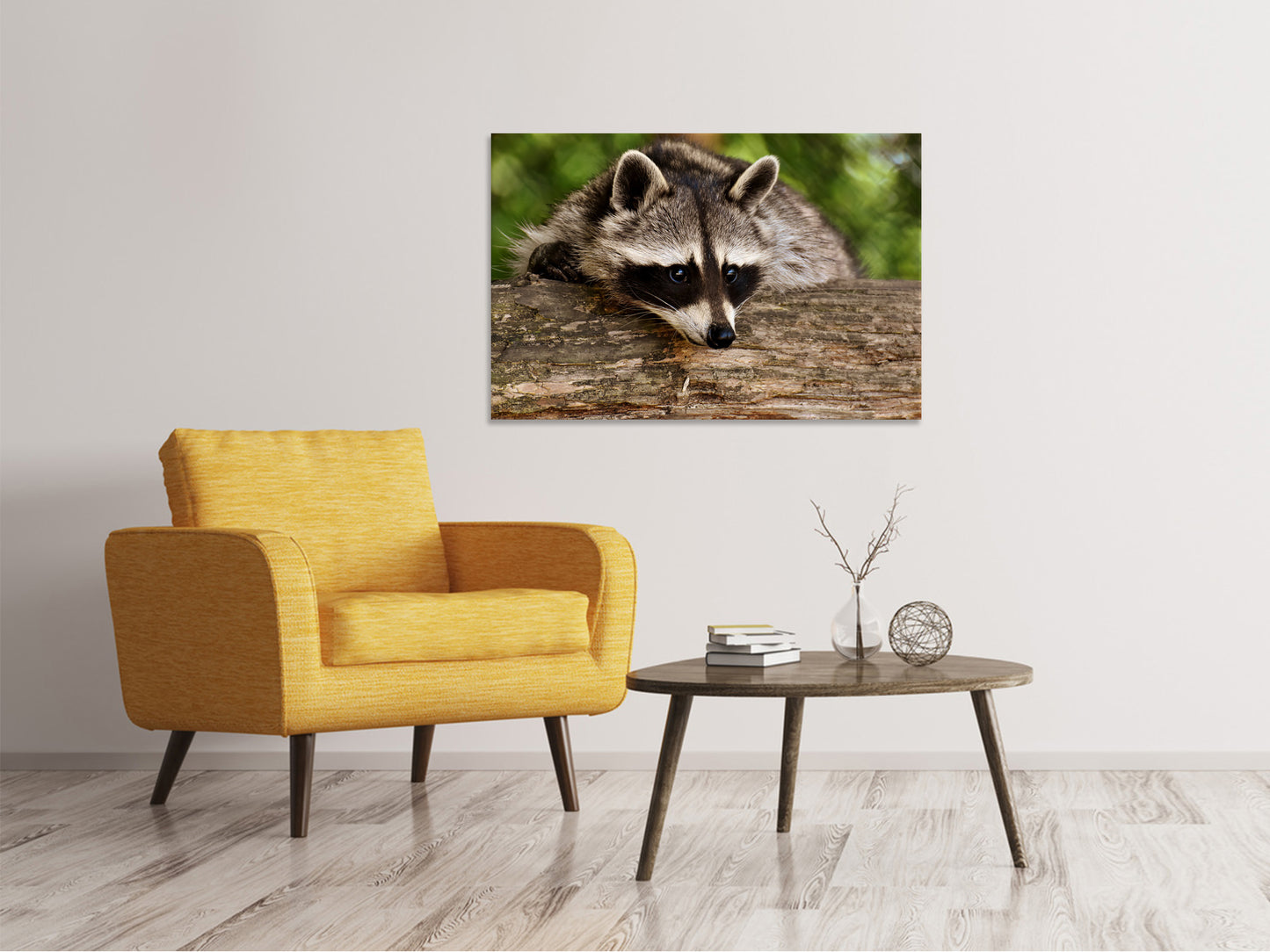 Leinwandbild Der süsse Waschbär