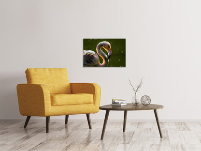 Leinwandbild Prächtiger Vogel