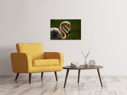 Leinwandbild Prächtiger Vogel