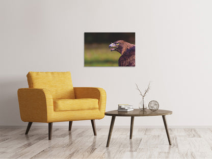 Leinwandbild Wachsamer Adler
