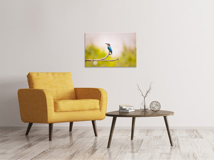 Leinwandbild Der Eisvogel