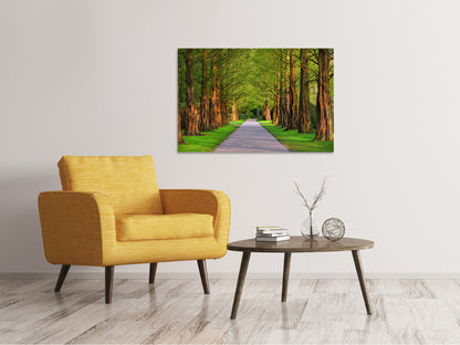Leinwandbild Schöne Allee in der Natur