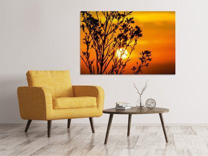 Leinwandbild Ein Strauch im Sonnenuntergang