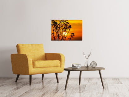 Leinwandbild Ein Strauch im Sonnenuntergang