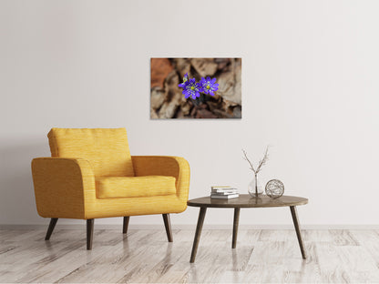Leinwandbild Wildblumen