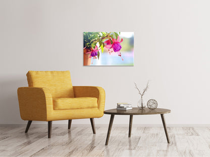 Leinwandbild Die Fuchsien