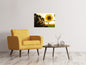 Leinwandbild Sonnenblume im Sonnenaufgang